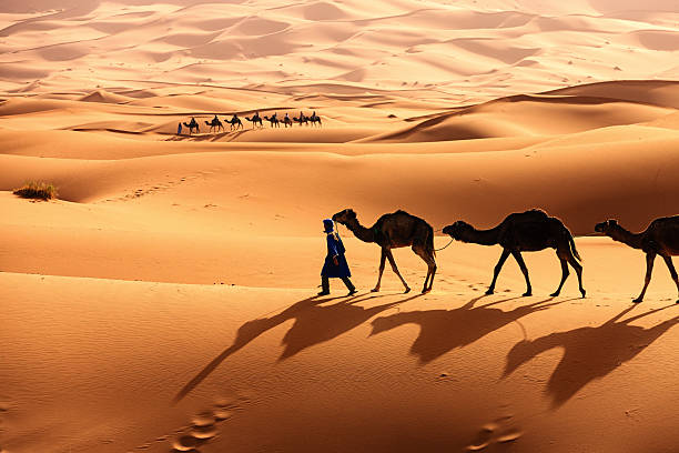 Merzouga Desert
