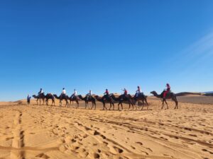 3-Day Private Desert Tour from Marrakech to Fez